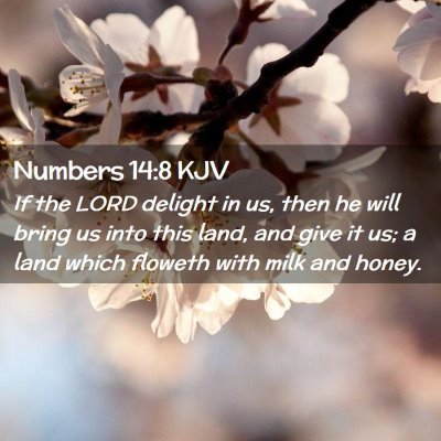 Numbers 14:8 KJV Free Bible Images