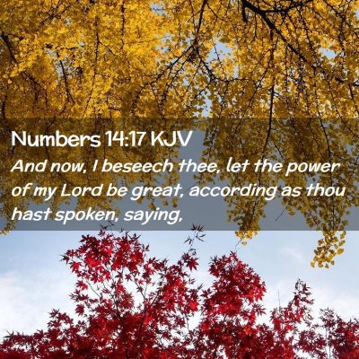 Numbers 14:17 KJV Free Bible Images