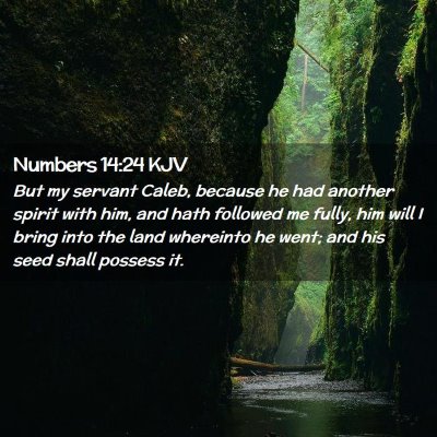 Numbers 14:24 KJV Free Bible Images