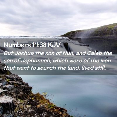 Numbers 14:38 KJV Free Bible Images