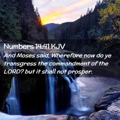 Numbers 14:41 KJV Free Bible Images