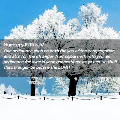 Numbers 15:15 KJV Free Bible Images