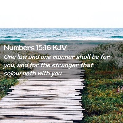 Numbers 15:16 KJV Free Bible Images