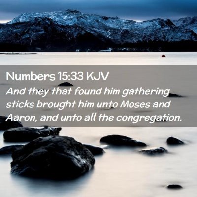 Numbers 15:33 KJV Free Bible Images