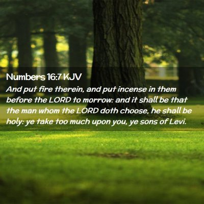 Numbers 16:7 KJV Free Bible Images