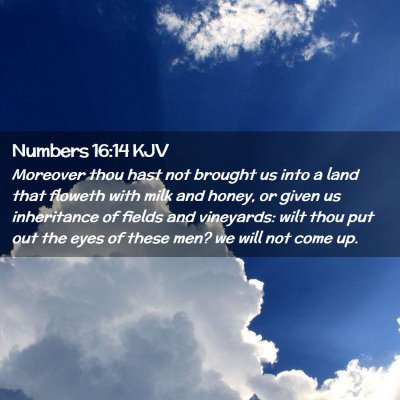 Numbers 16:14 KJV Free Bible Images