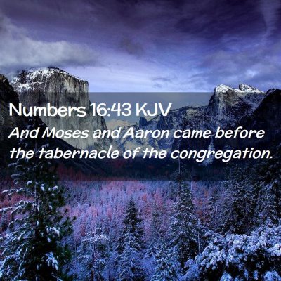 Numbers 16:43 KJV Free Bible Images