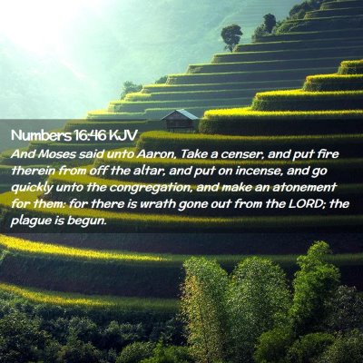 Numbers 16:46 KJV Free Bible Images