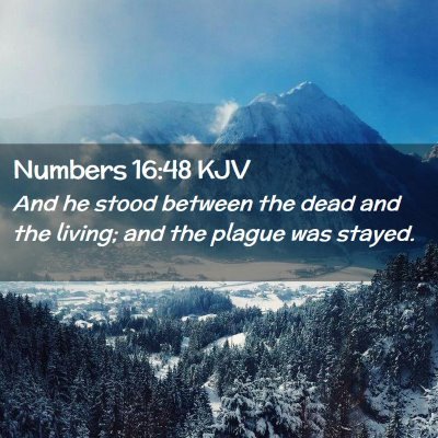 Numbers 16:48 KJV Free Bible Images