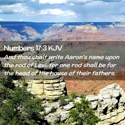 Numbers 17:3 KJV Free Bible Images