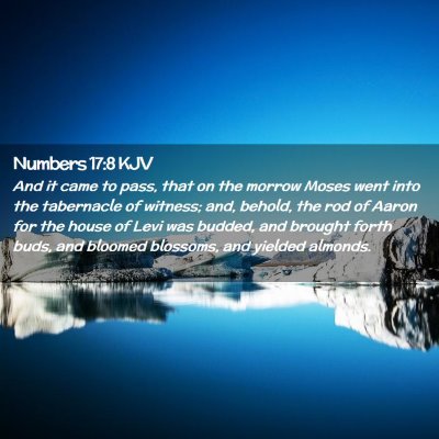 Numbers 17:8 KJV Free Bible Images