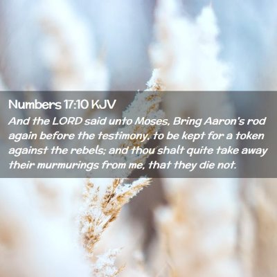 Numbers 17:10 KJV Free Bible Images