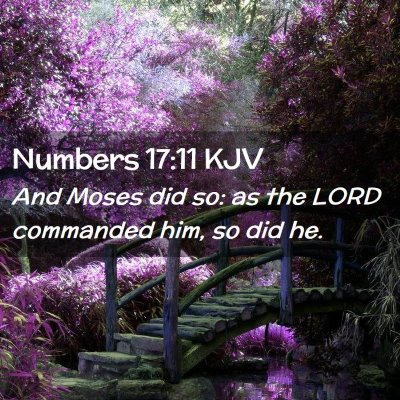 Numbers 17:11 KJV Free Bible Images