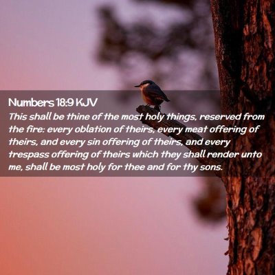 Numbers 18:9 KJV Free Bible Images