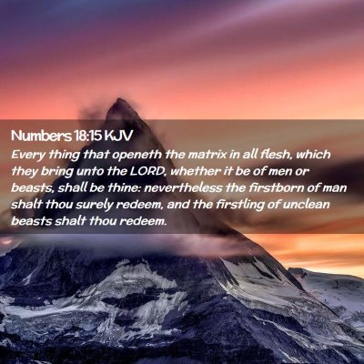 Numbers 18:15 KJV Free Bible Images