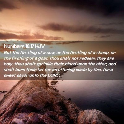 Numbers 18:17 KJV Free Bible Images