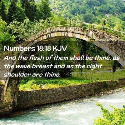 Numbers 18:18 KJV Free Bible Images