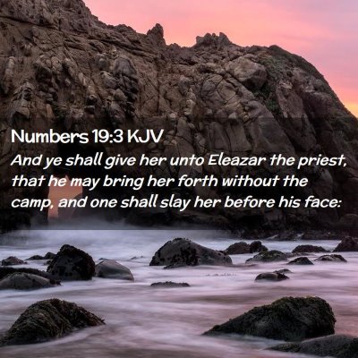 Numbers 19:3 KJV Free Bible Images