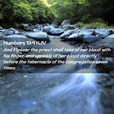 Numbers 19:4 KJV Free Bible Images