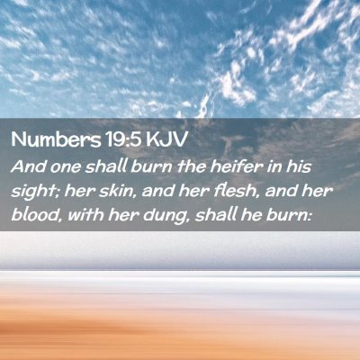 Numbers 19:5 KJV Free Bible Images