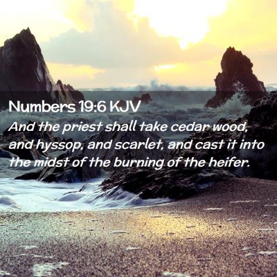 Numbers 19:6 KJV Free Bible Images