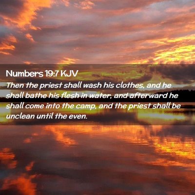 Numbers 19:7 KJV Free Bible Images