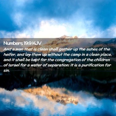 Numbers 19:9 KJV Free Bible Images