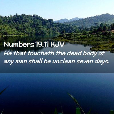 Numbers 19:11 KJV Free Bible Images