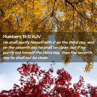 Numbers 19:12 KJV Free Bible Images