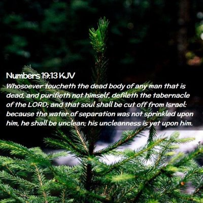 Numbers 19:13 KJV Free Bible Images