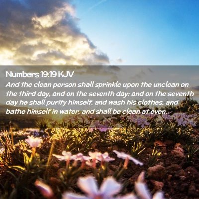 Numbers 19:19 KJV Free Bible Images