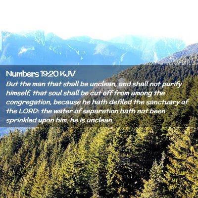 Numbers 19:20 KJV Free Bible Images