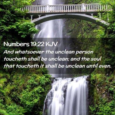 Numbers 19:22 KJV Free Bible Images