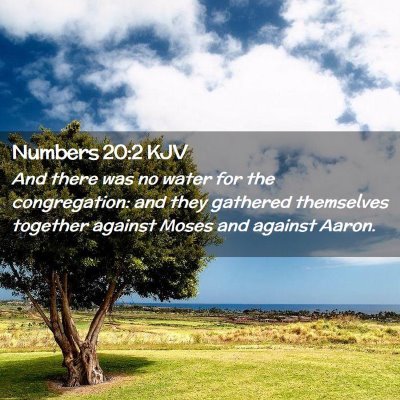 Numbers 20:2 KJV Free Bible Images