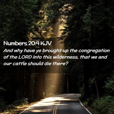 Numbers 20:4 KJV Free Bible Images