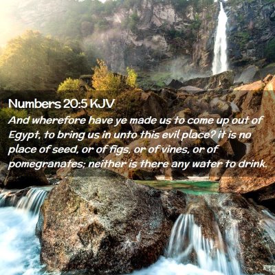 Numbers 20:5 KJV Free Bible Images