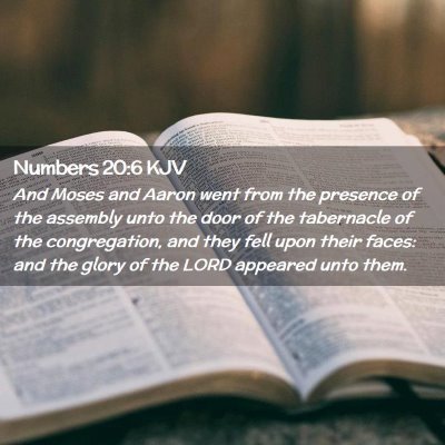 Numbers 20:6 KJV Free Bible Images