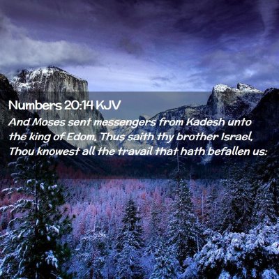 Numbers 20:14 KJV Free Bible Images