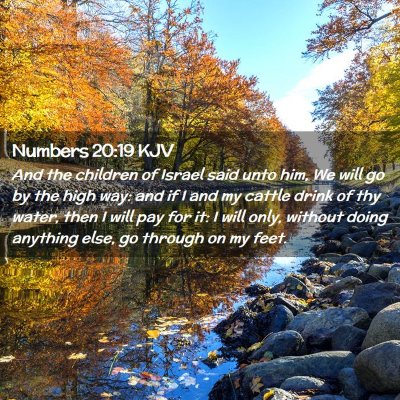 Numbers 20:19 KJV Free Bible Images