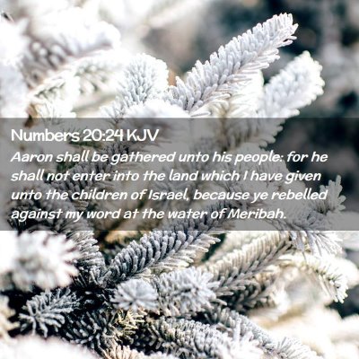 Numbers 20:24 KJV Free Bible Images