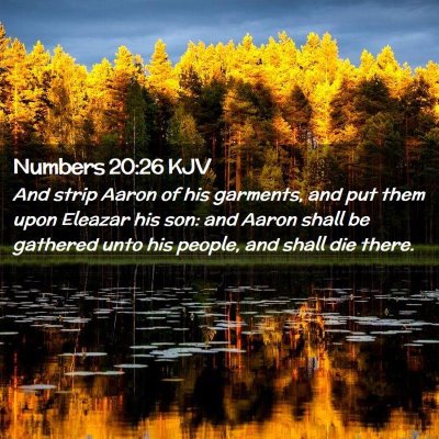 Numbers 20:26 KJV Free Bible Images