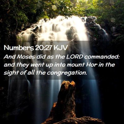 Numbers 20:27 KJV Free Bible Images