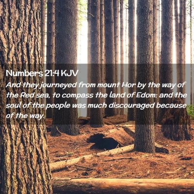 Numbers 21:4 KJV Free Bible Images