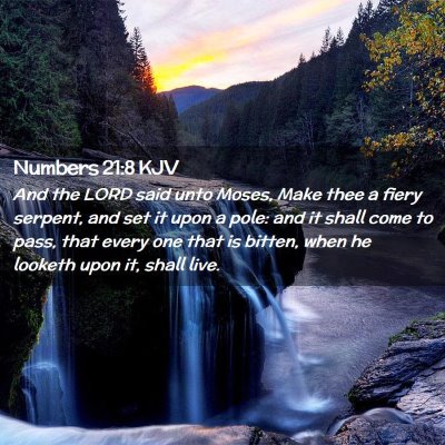 Numbers 21:8 KJV Free Bible Images