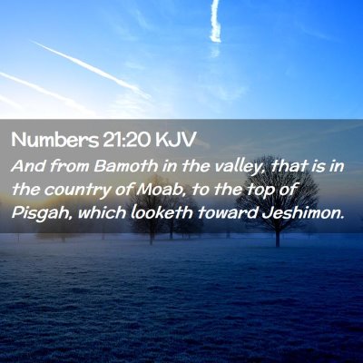 Numbers 21:20 KJV Free Bible Images