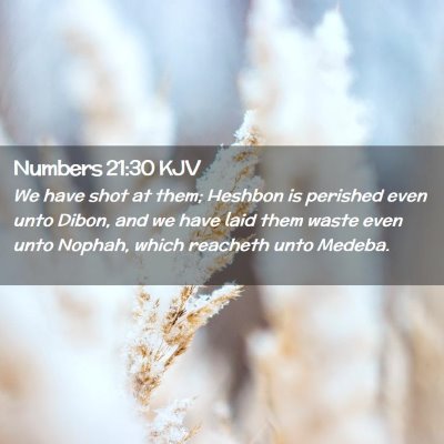 Numbers 21:30 KJV Free Bible Images