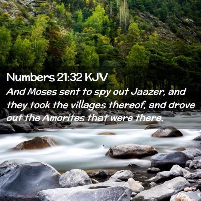 Numbers 21:32 KJV Free Bible Images