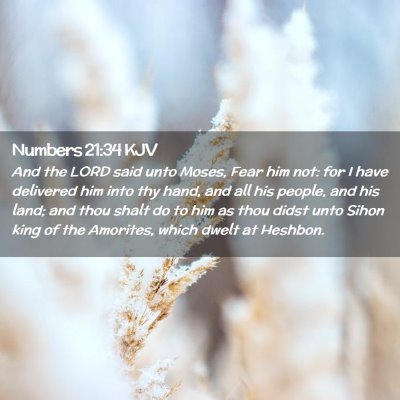 Numbers 21:34 KJV Free Bible Images