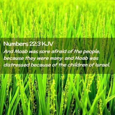 Numbers 22:3 KJV Free Bible Images