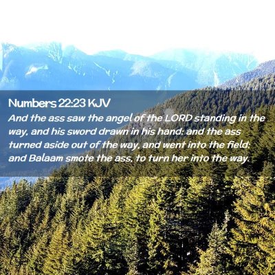 Numbers 22:23 KJV Free Bible Images